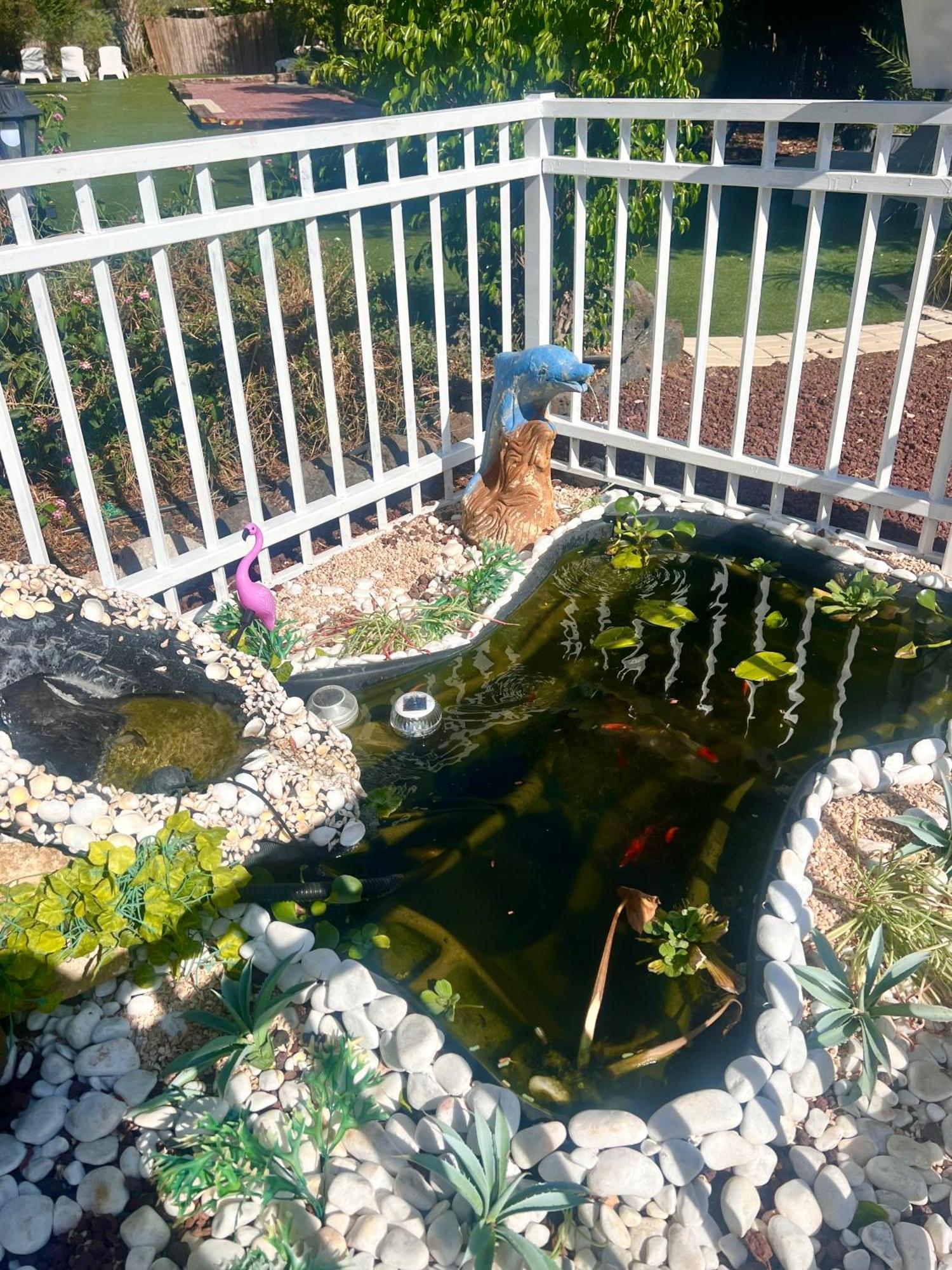 Magical In The Galilee Motel Qiryat Shemona Exterior photo